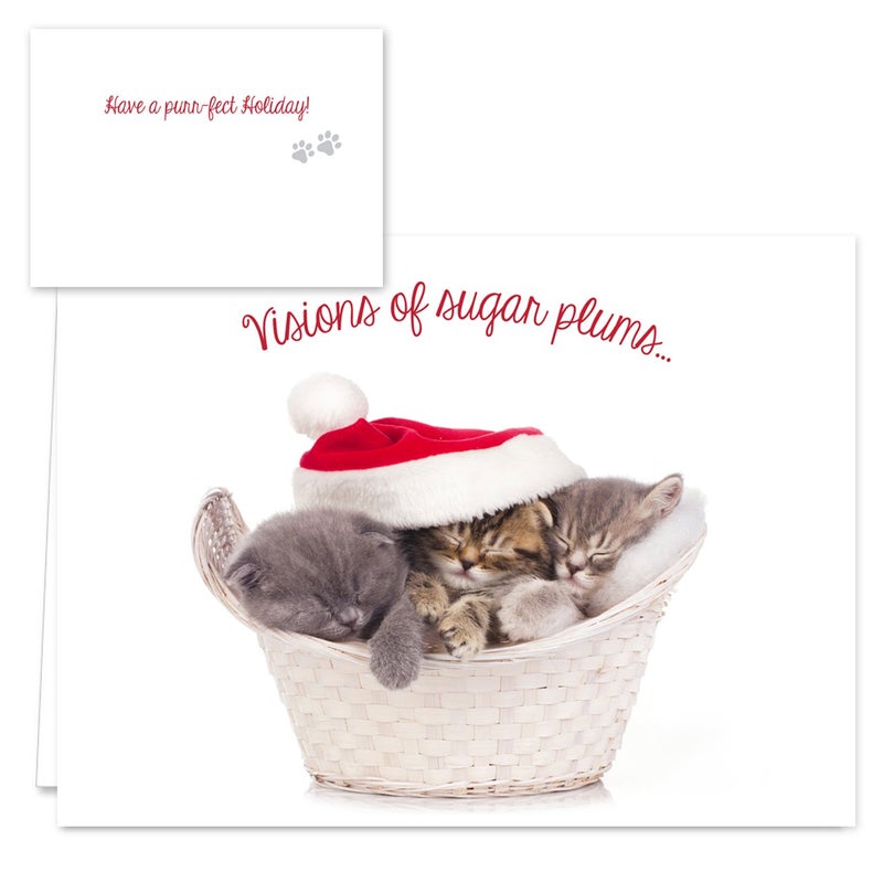 Canopy Street Christmas Cats Holiday Card Assortment Pack / 25 Seasonal Kitten Greeting Cards And Envelopes / 5 Sleeping Santa Animal Designs And Christmas Messages - Image 1